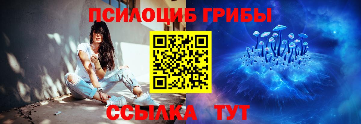 сколько стоит  Псилоцибиновые грибы MAGIC MUSHROOMS  Галлюциногенные грибы Magic Shrooms  Вход с VPN  Кудрово 